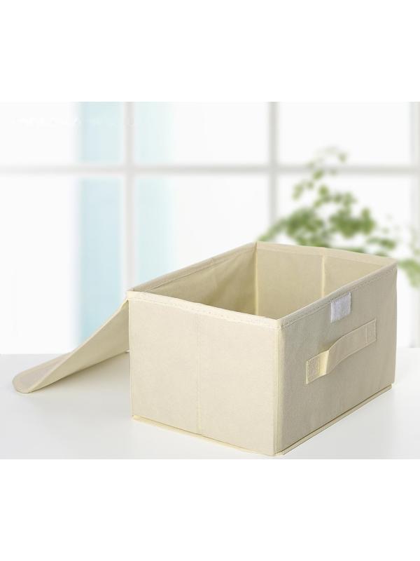 Короб стеллажный для хранения с крышкой «Алва», 26×20×15 см, цвет бежевый