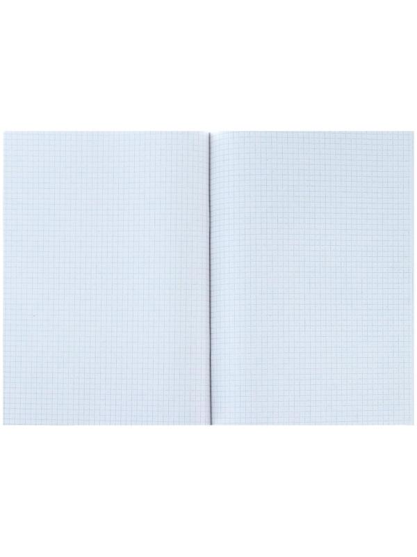 Тетрадь А4, 96 листов в клетку Calligrata 