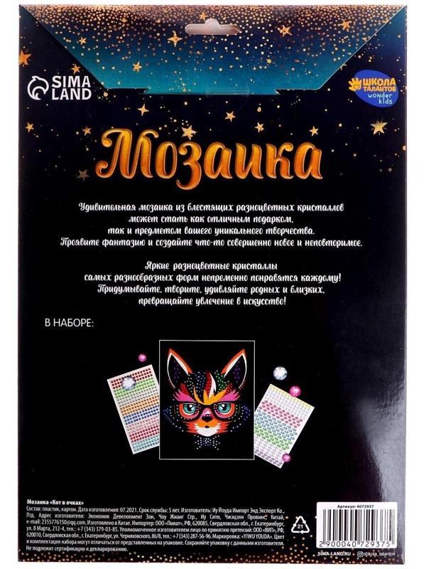 Мозаика стразами «Кот в очках». Набор для творчества