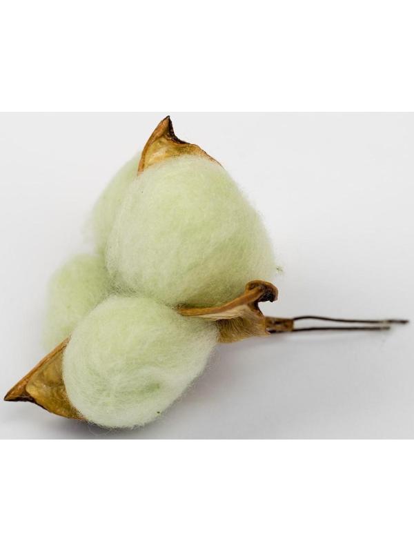 Сухие цветы хлопка, набор 3 шт., размер 1 шт. 6 × 6 см, цвет зелёный