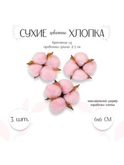 Сухие цветы хлопка, набор 3 шт., размер 1 шт. 6 × 6 см, цвет розовый