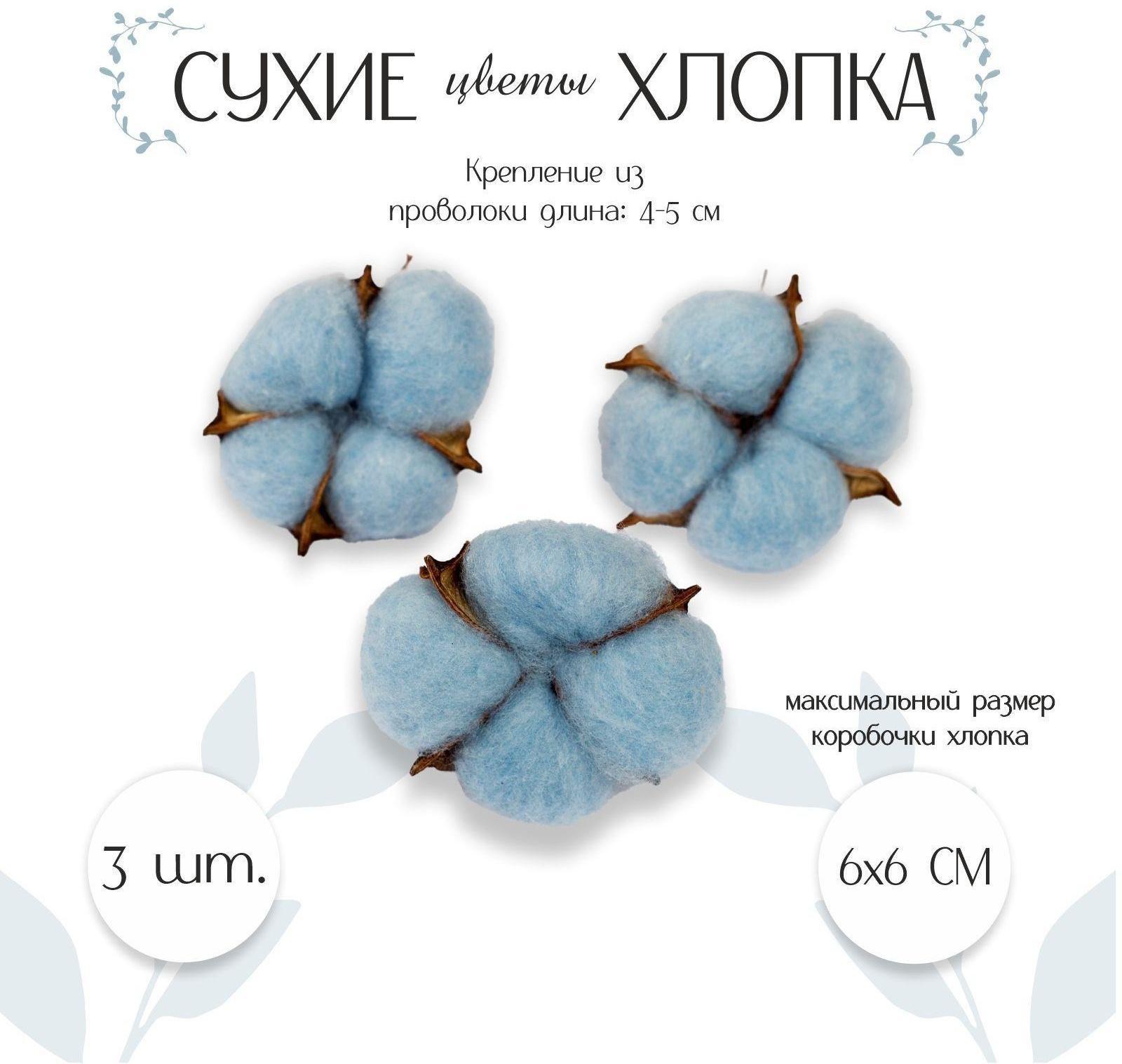 Сухие цветы хлопка, набор 3 шт., размер 1 шт. 6 × 6 см, цвет голубой