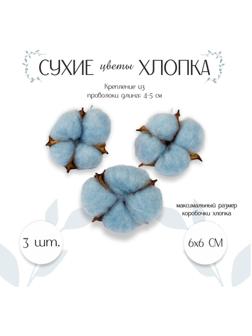 Сухие цветы хлопка, набор 3 шт., размер 1 шт. 6 × 6 см, цвет голубой