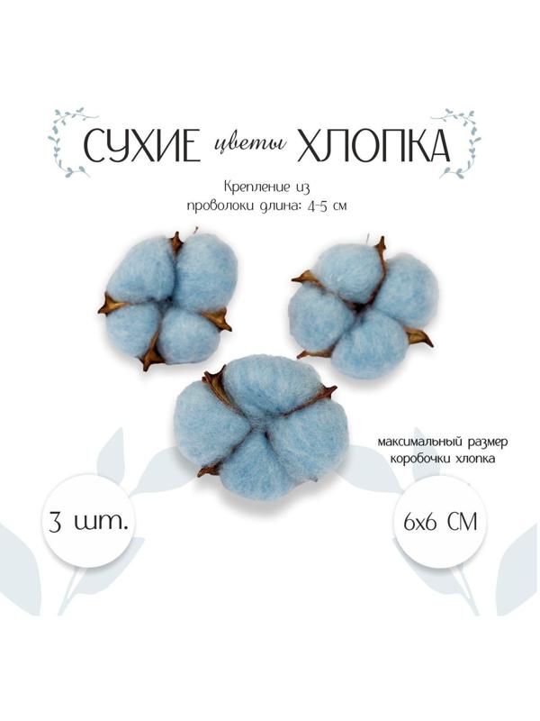 Сухие цветы хлопка, набор 3 шт., размер 1 шт. 6 × 6 см, цвет голубой