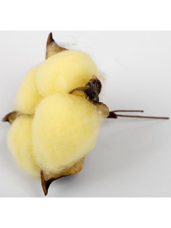 Сухие цветы хлопка, набор 3 шт., размер 1 шт. 6 × 6 см, цвет жёлтый