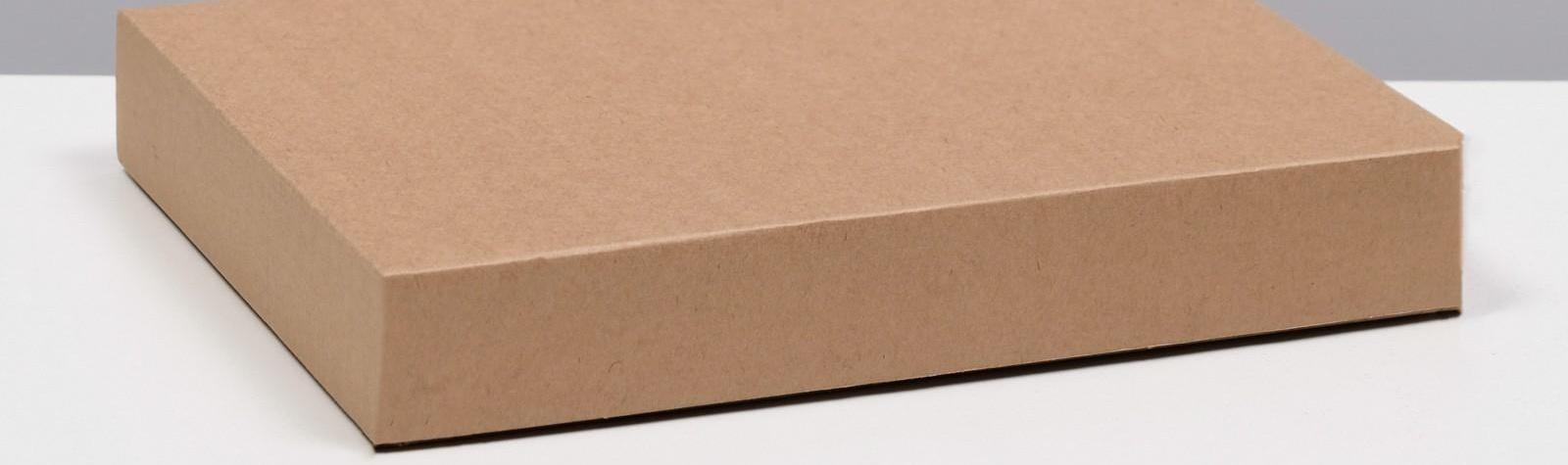 Коробка сборная без печати крышка-дно бурая без окна 26 х 21,5 х 4 см