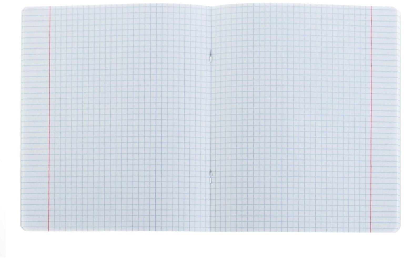 Тетрадь 24 листа в клетку ErichKrause 