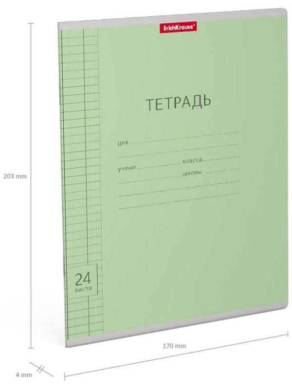 Тетрадь 24 листа в клетку ErichKrause 