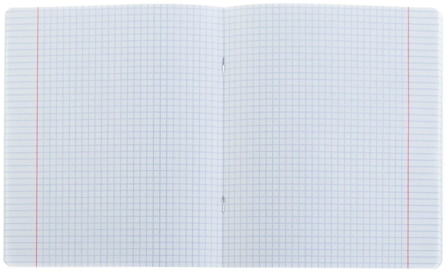 Тетрадь 24 листа в клетку ErichKrause 