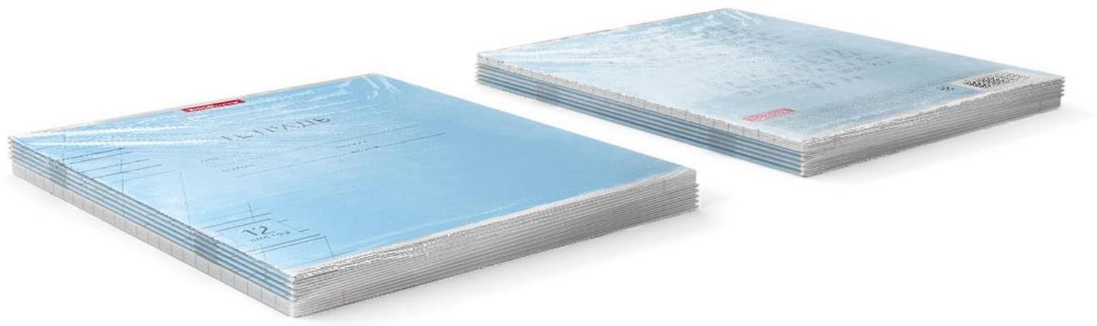 Тетрадь 12 листов в косую линейку, ErichKrause Visio 