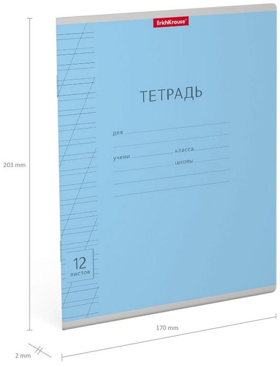 Тетрадь 12 листов в косую линейку, ErichKrause Visio 