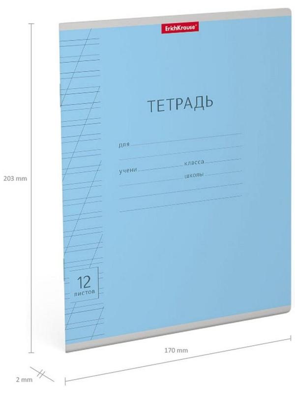 Тетрадь 12 листов в косую линейку, ErichKrause Visio 