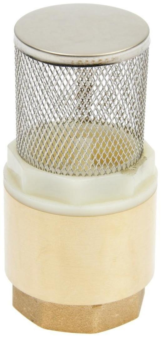 Клапан обратный с сеткой 