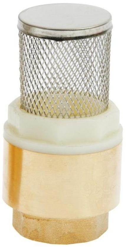 Клапан обратный с сеткой 