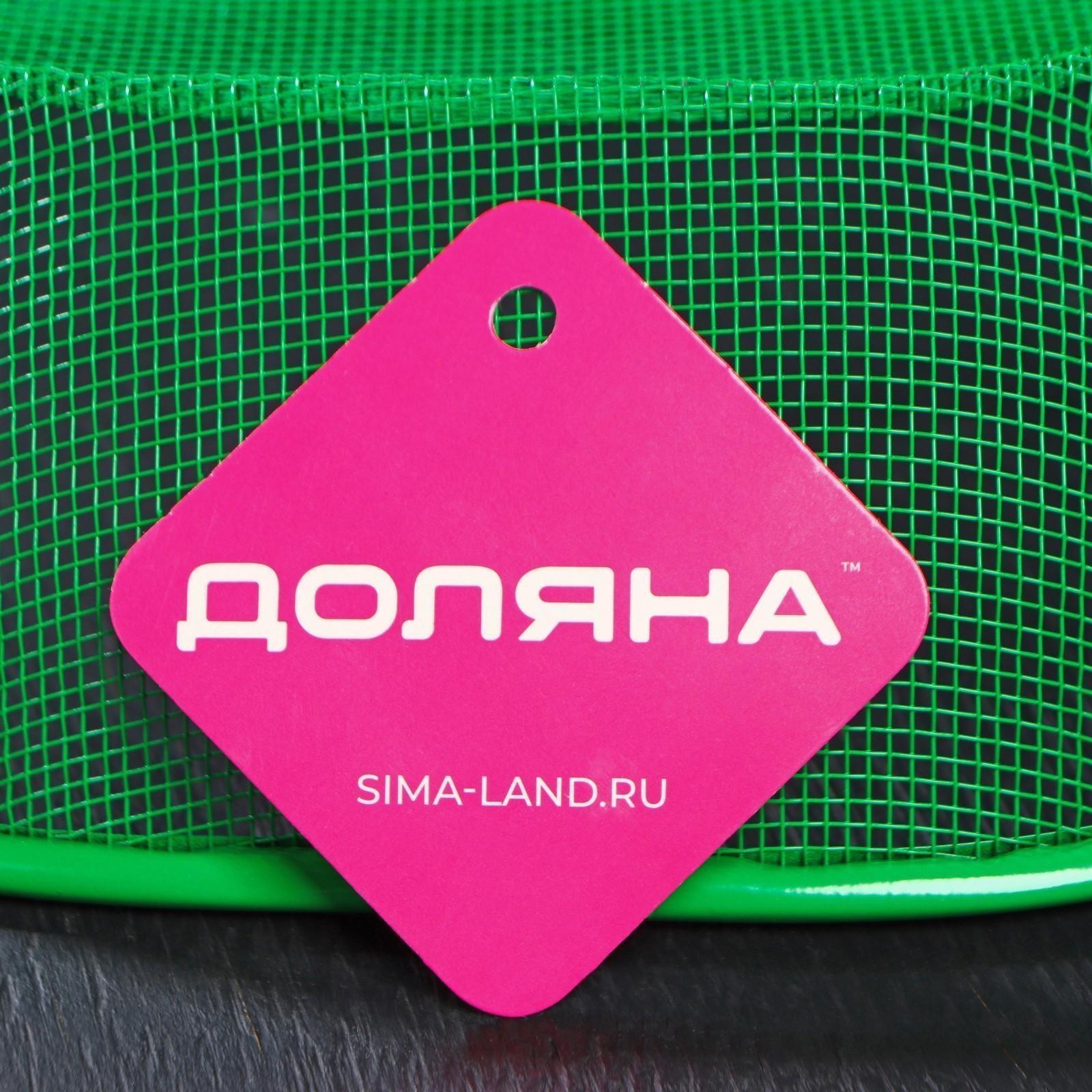 Сито-корзинка Доляна «2 в 1», 26×20 см, цвет МИКС