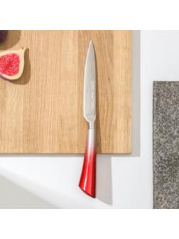 Нож кухонный «Спектр», лезвие 12 см, цельнометаллический, цвет МИКС