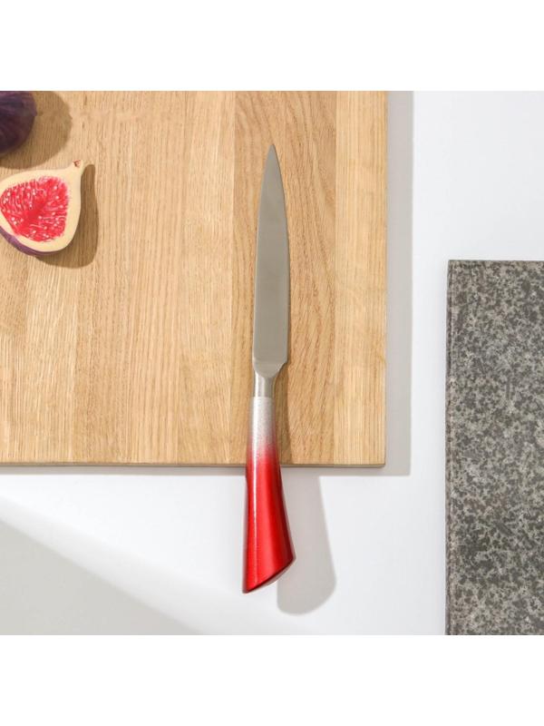 Нож кухонный «Спектр», лезвие 12 см, цельнометаллический, цвет МИКС