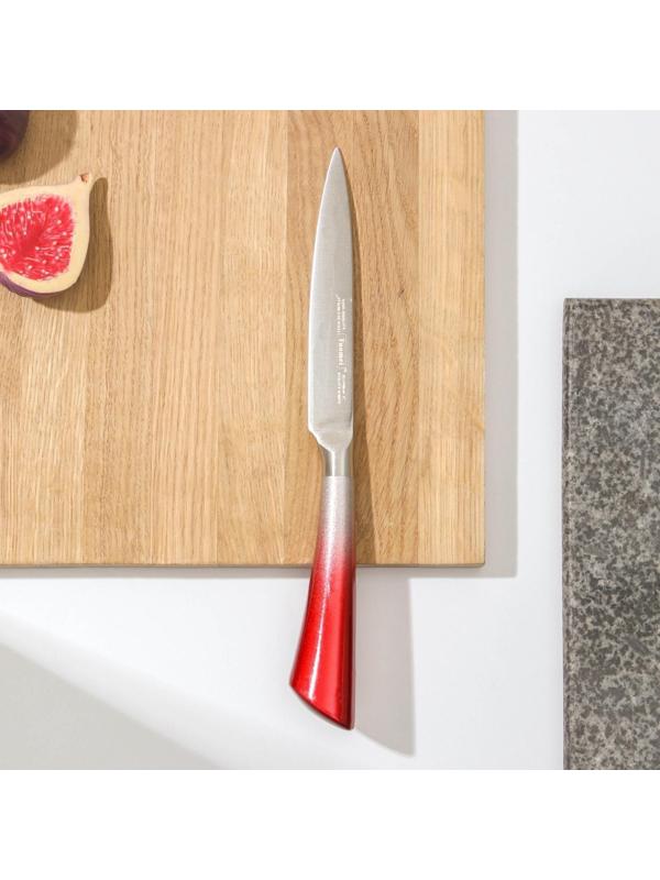 Нож кухонный «Спектр», лезвие 12 см, цельнометаллический, цвет МИКС