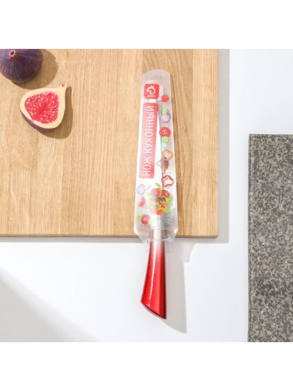 Нож кухонный «Спектр», лезвие 12 см, цельнометаллический, цвет МИКС