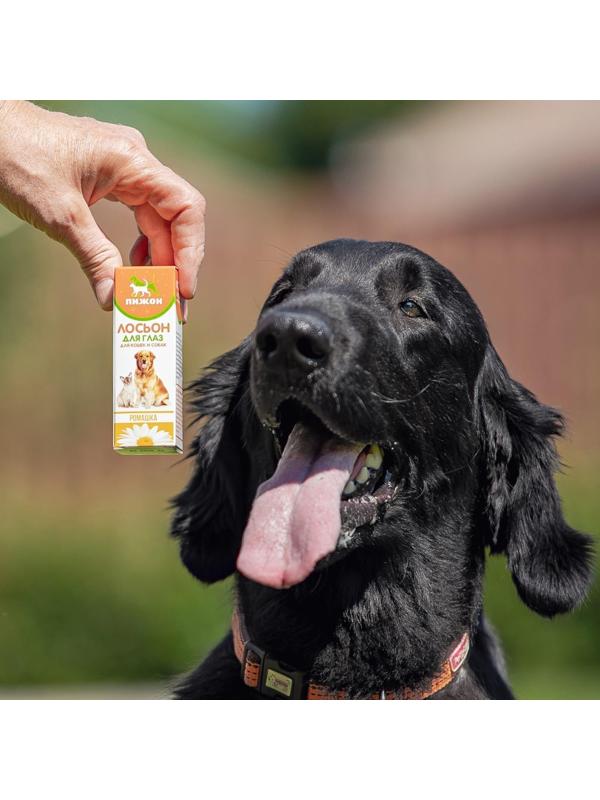 Лосьон для глаз 