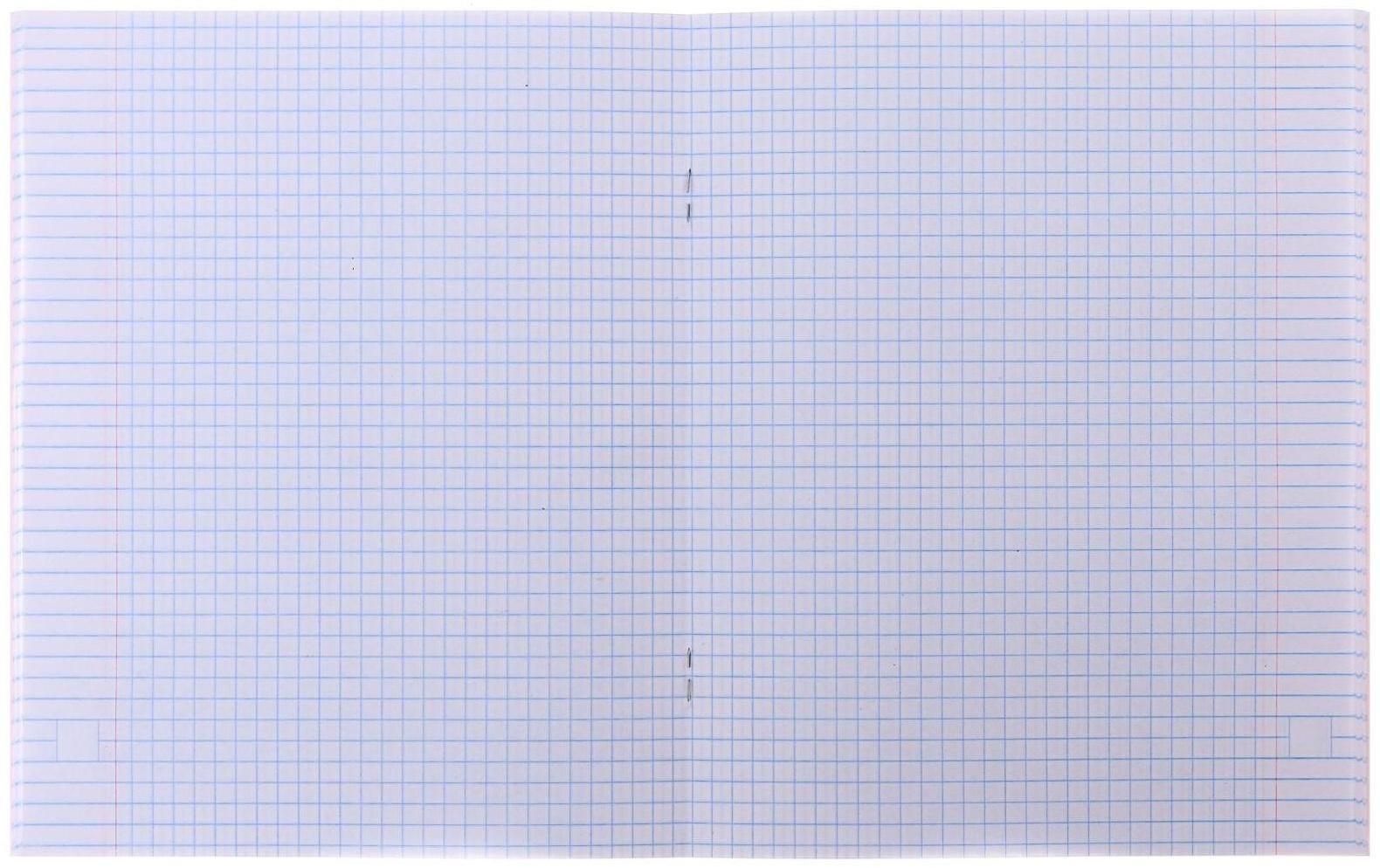 Тетрадь 48 листов в клетку Calligrata 