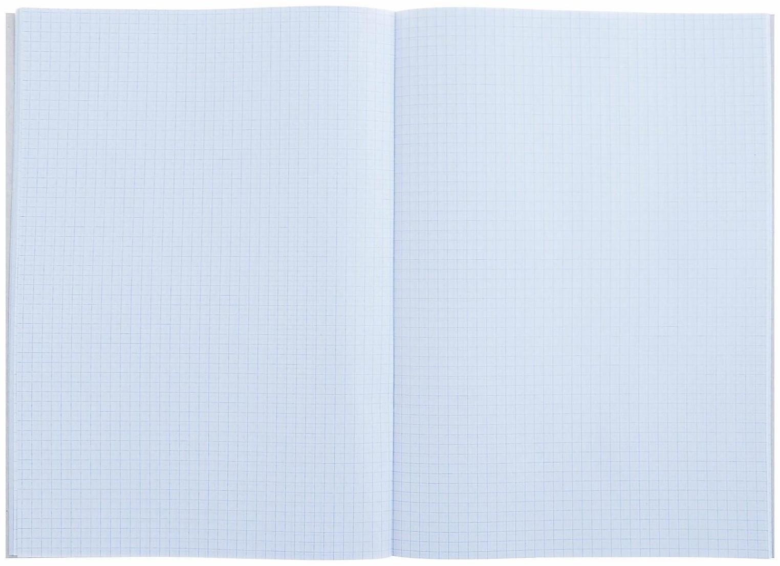 Тетрадь А4, 96 листов в клетку 