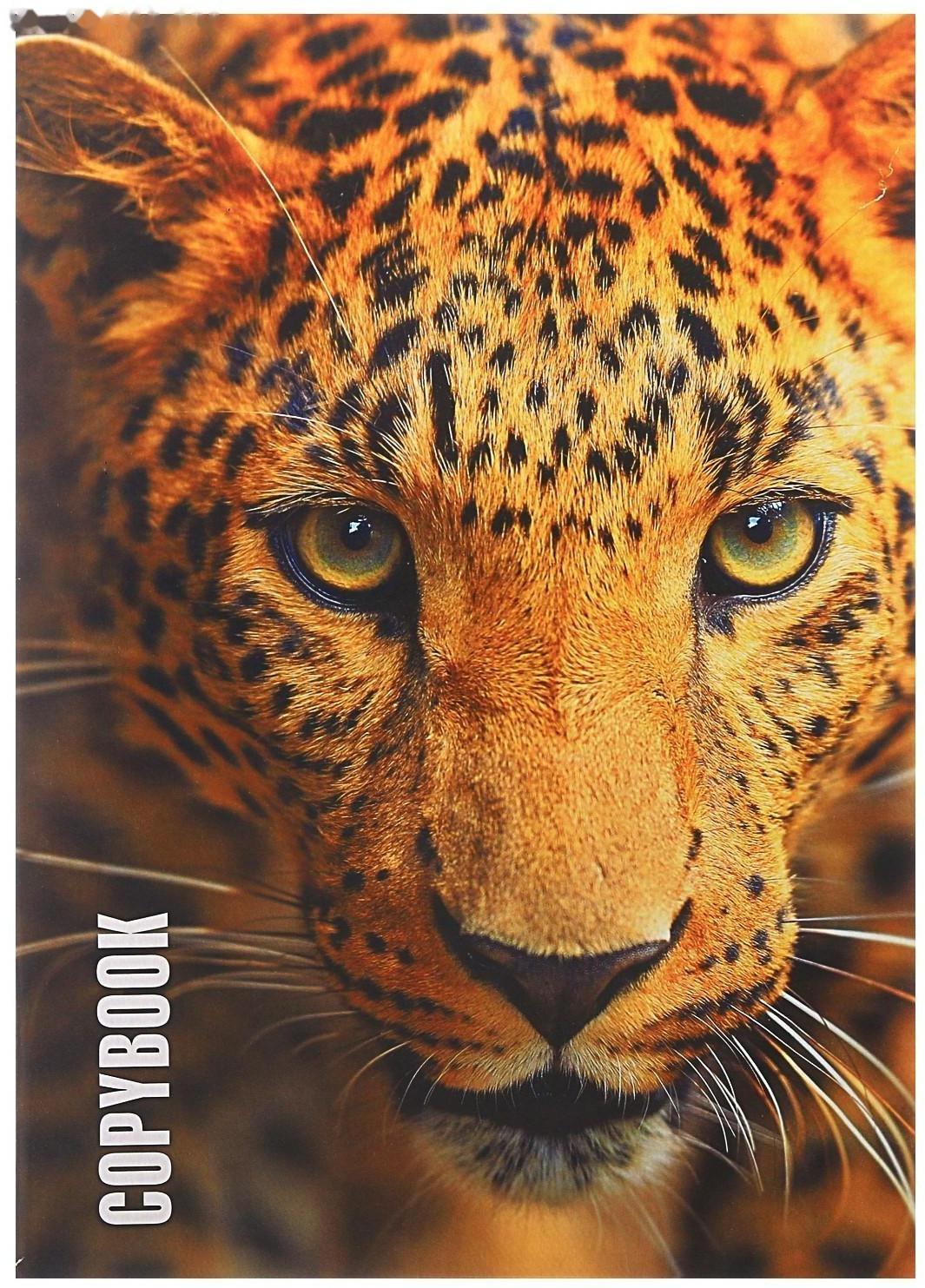 Тетрадь А4, 96 листов в клетку 