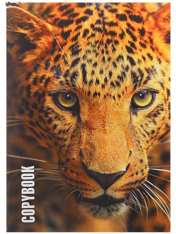 Тетрадь А4, 96 листов в клетку 