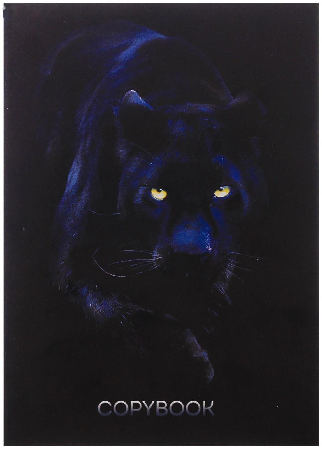 Тетрадь А4, 96 листов в клетку 