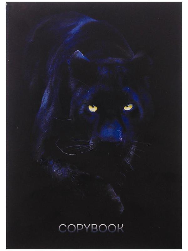 Тетрадь А4, 96 листов в клетку 