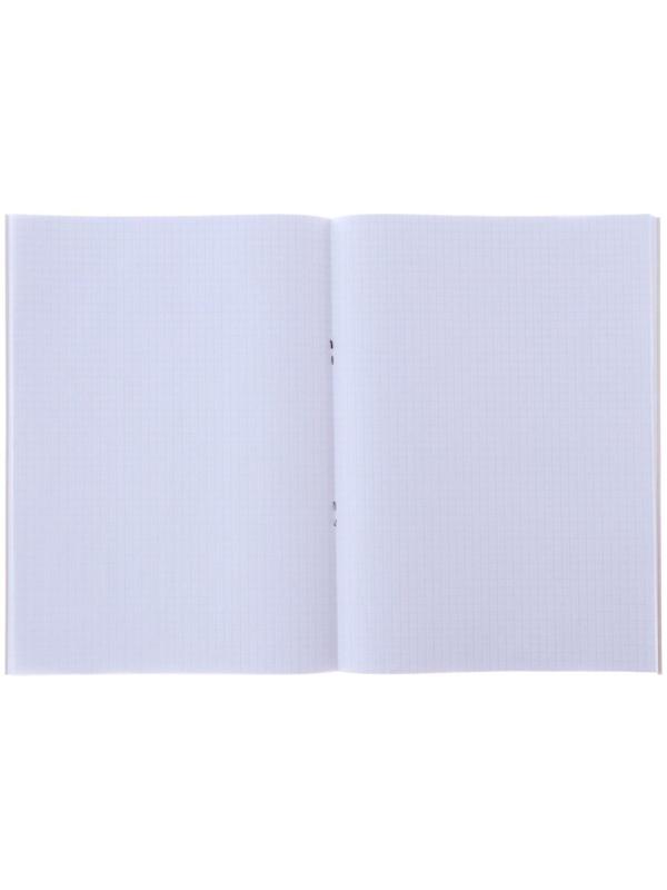 Тетрадь А4, 96 листов в клетку 