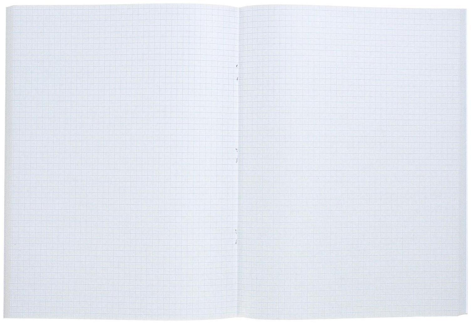 Тетрадь А4, 96 листов в клетку 