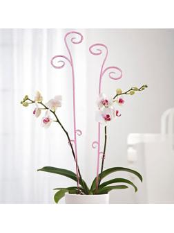 Держатель для орхидеи, h=60, цвет МИКС