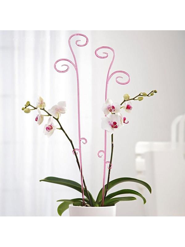 Держатель для орхидеи, h=60, цвет МИКС
