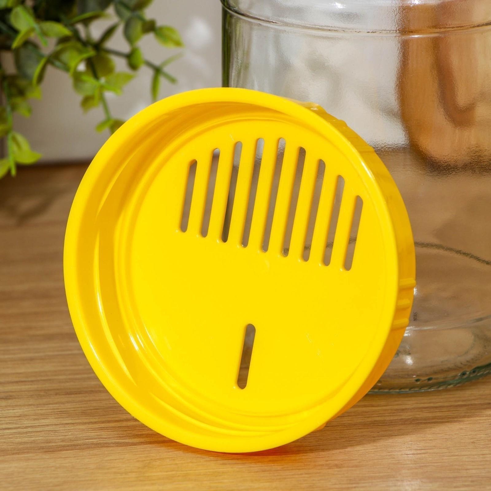 Крышкa сливнaя, ТО-100 мм, цвет микс, 1 шт., 4361282