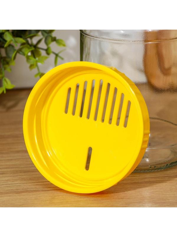 Крышкa сливнaя, ТО-100 мм, цвет микс, 1 шт., 4361282