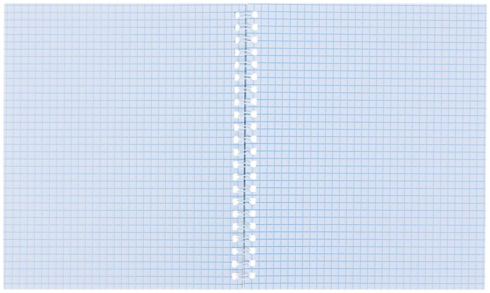 Тетрадь 80 листов в клетку на гребне 