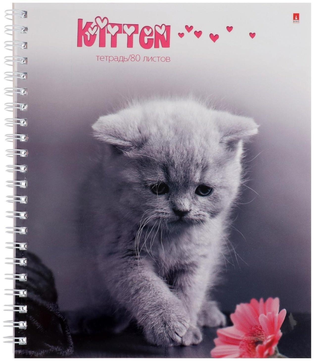 Тетрадь 80 листов в клетку на гребне 