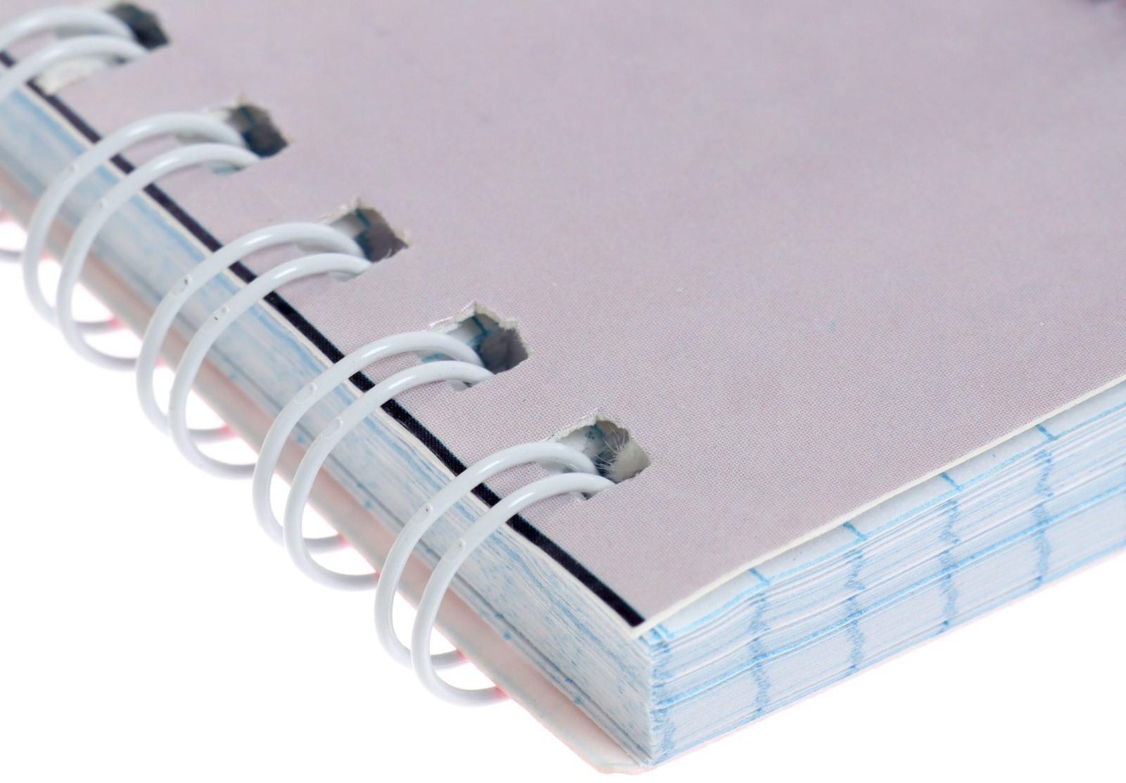 Тетрадь 80 листов в клетку на гребне 