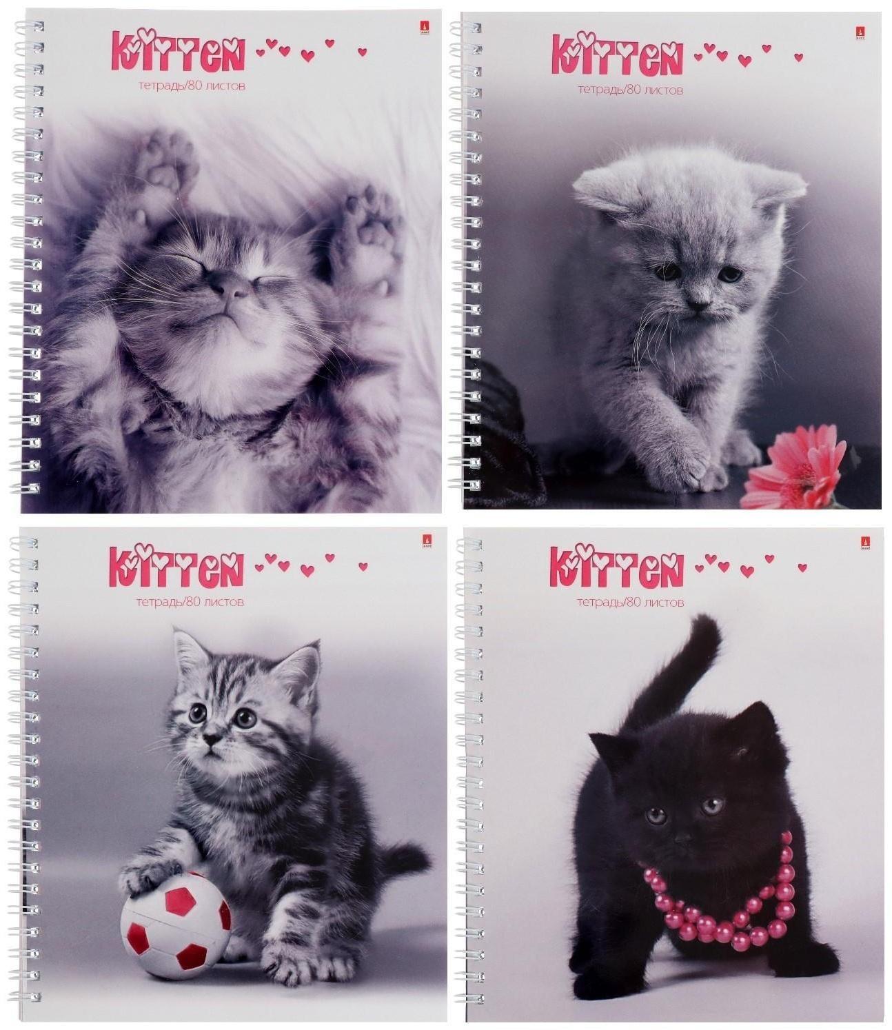 Тетрадь 80 листов в клетку на гребне 