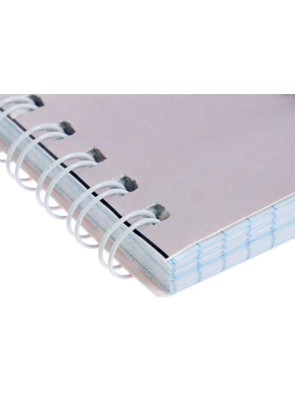 Тетрадь 80 листов в клетку на гребне 