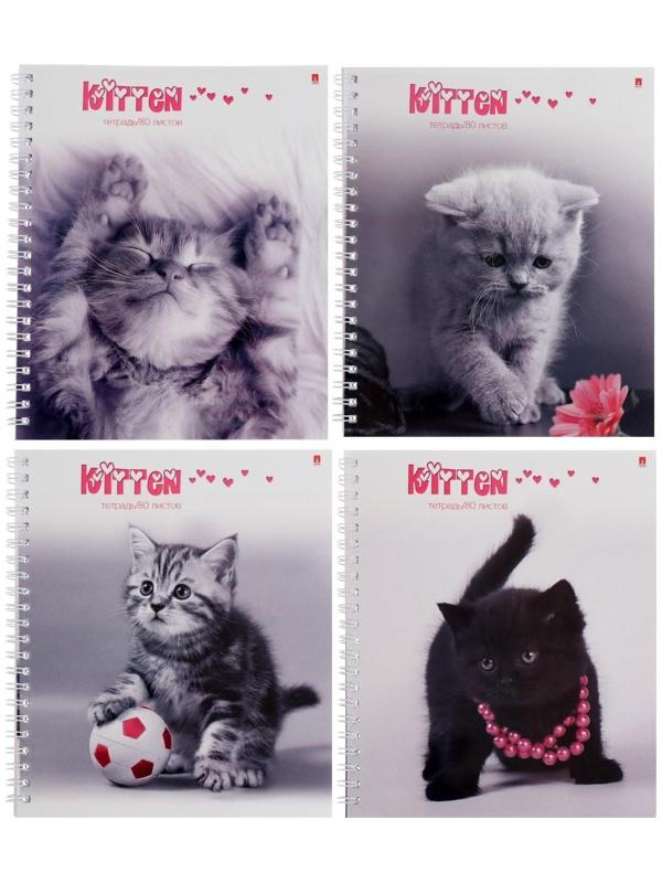 Тетрадь 80 листов в клетку на гребне 