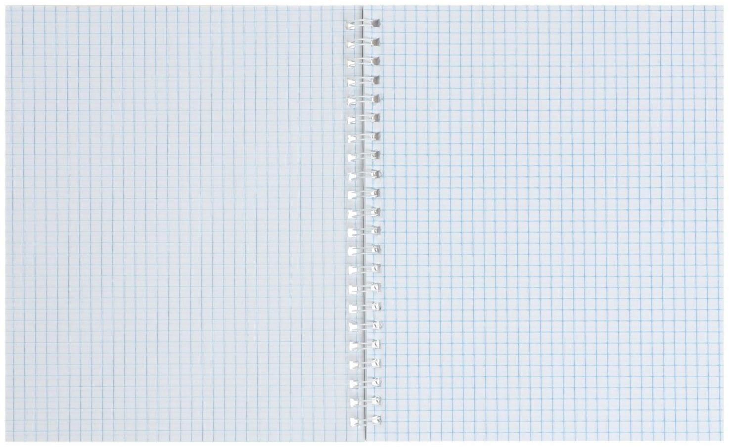 Тетрадь 80 листов в клетку на гребне 