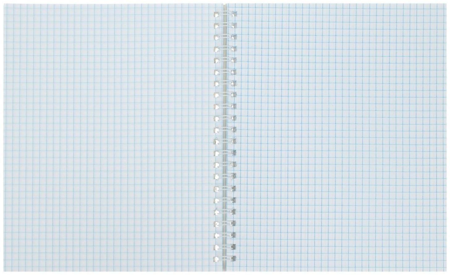 Тетрадь 80 листов в клетку на гребне 