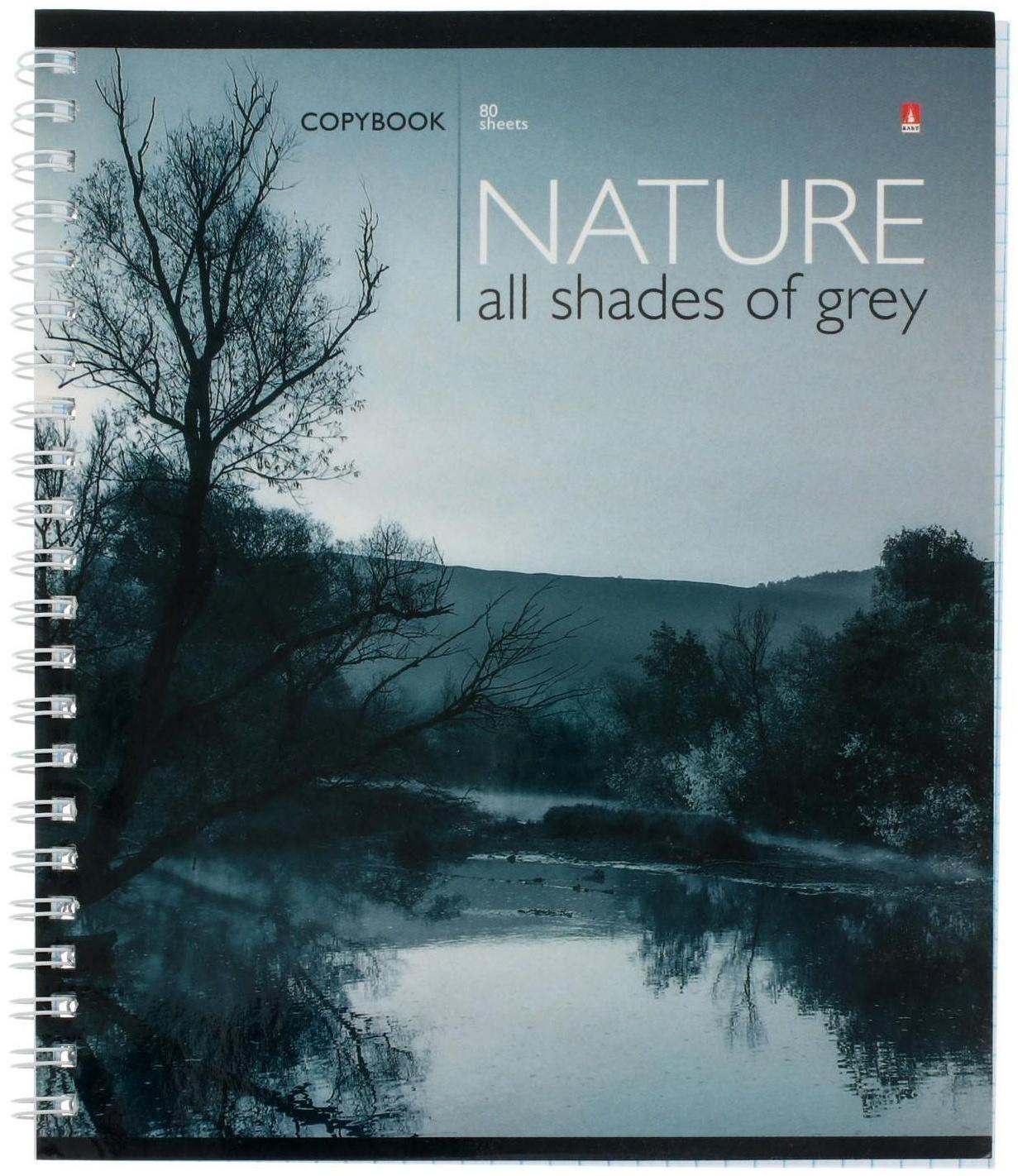 Тетрадь 80 листов в клетку на гребне 