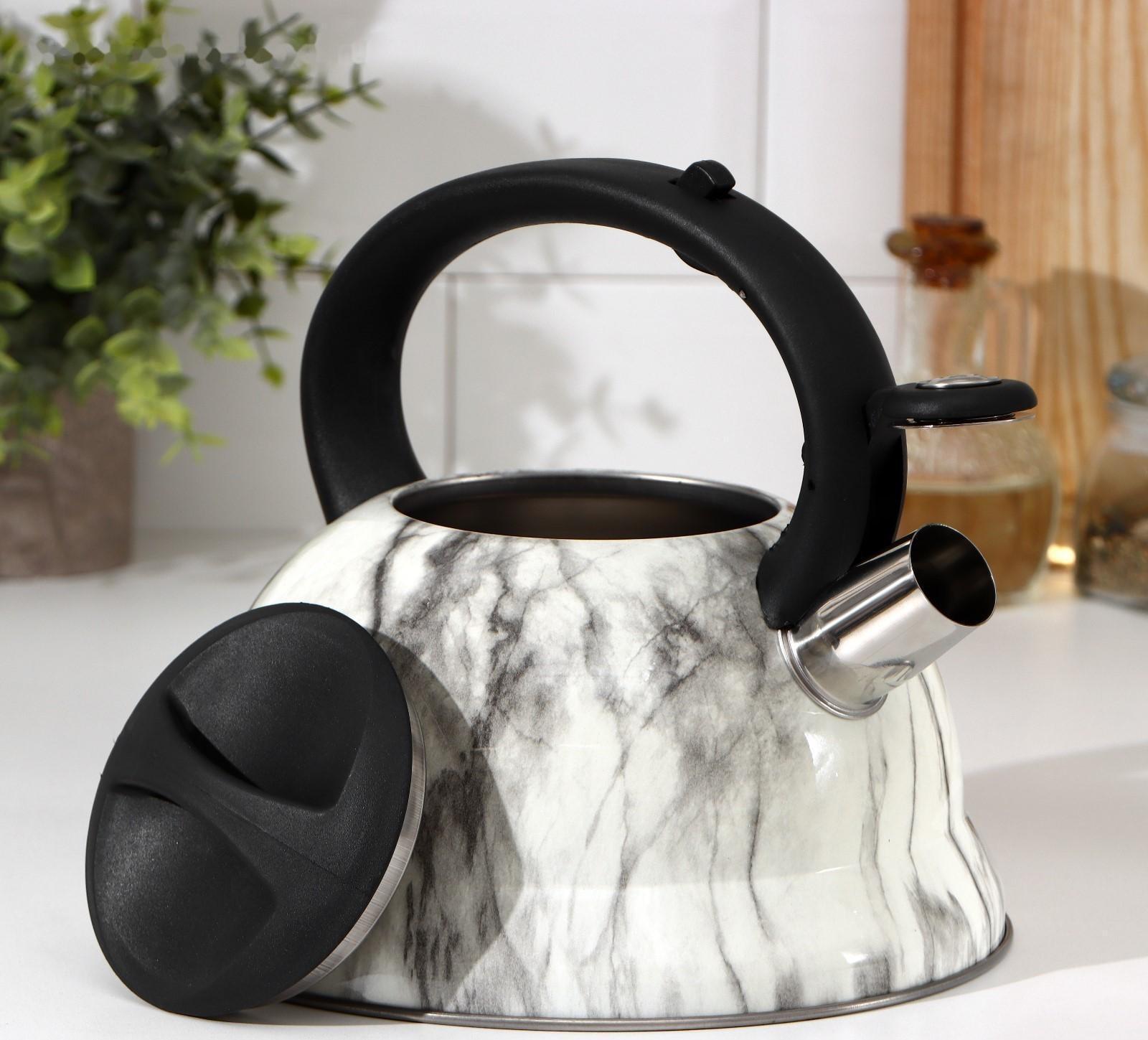 Чайник со свистком из нержавеющей стали Доляна «Каррар», 2,8 л