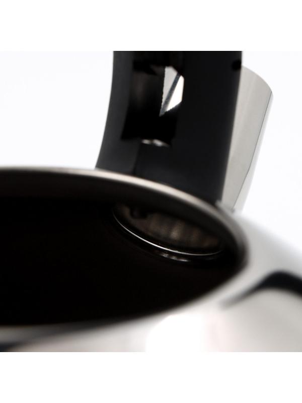 Чайник со свистком из нержавеющей стали Доляна «Блеск», 2,8 л