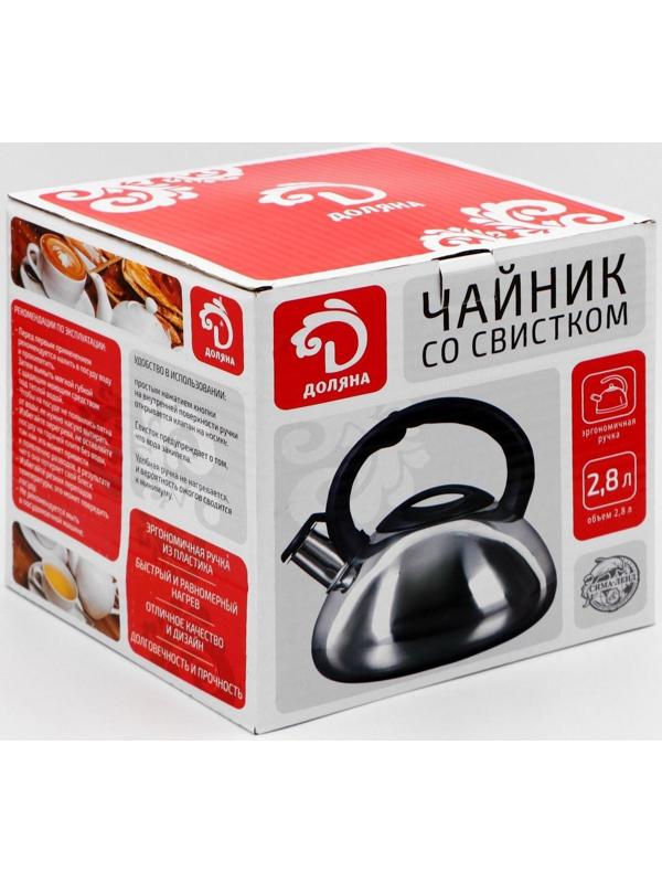 Чайник со свистком из нержавеющей стали Доляна «Блеск», 2,8 л