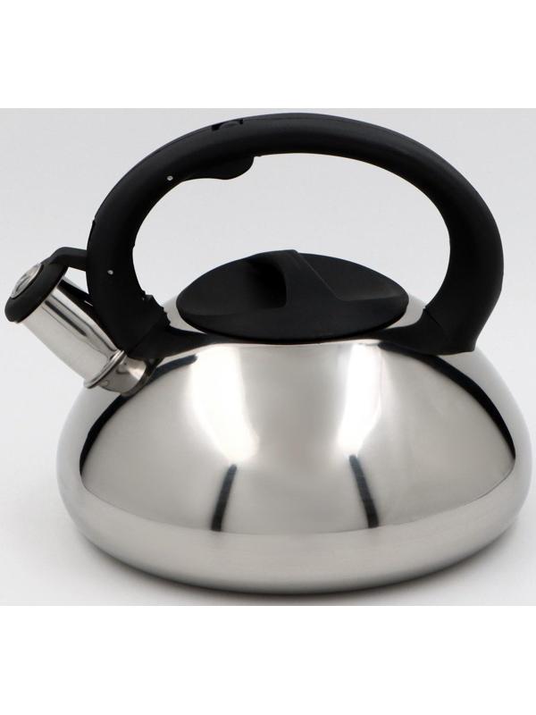Чайник со свистком из нержавеющей стали Доляна «Блеск», 2,8 л