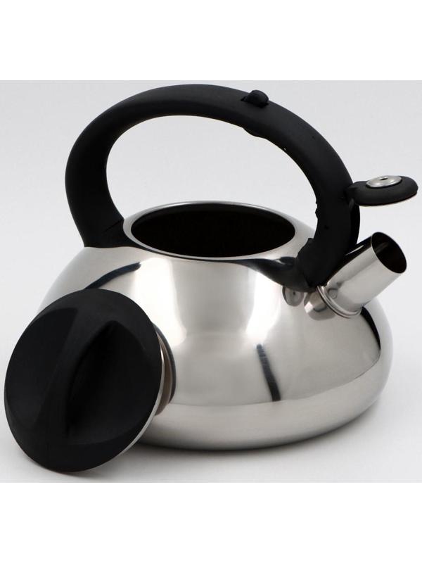 Чайник со свистком из нержавеющей стали Доляна «Блеск», 2,8 л